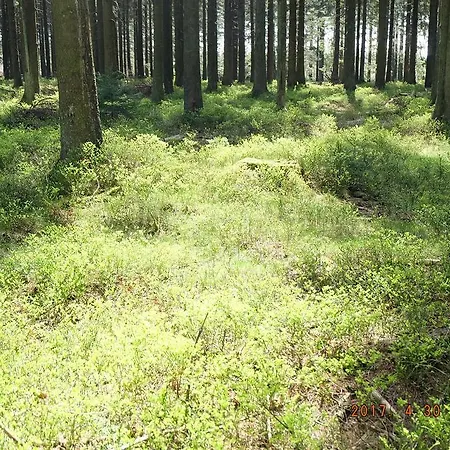 Sweet * Eupen